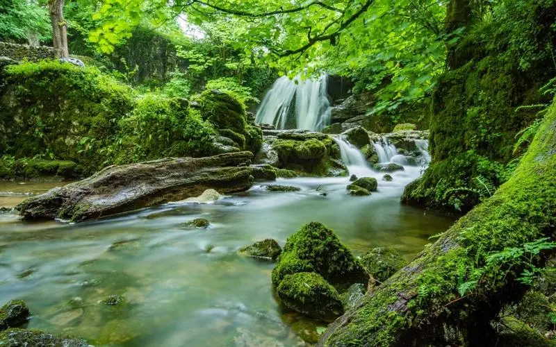 高性能独特先进